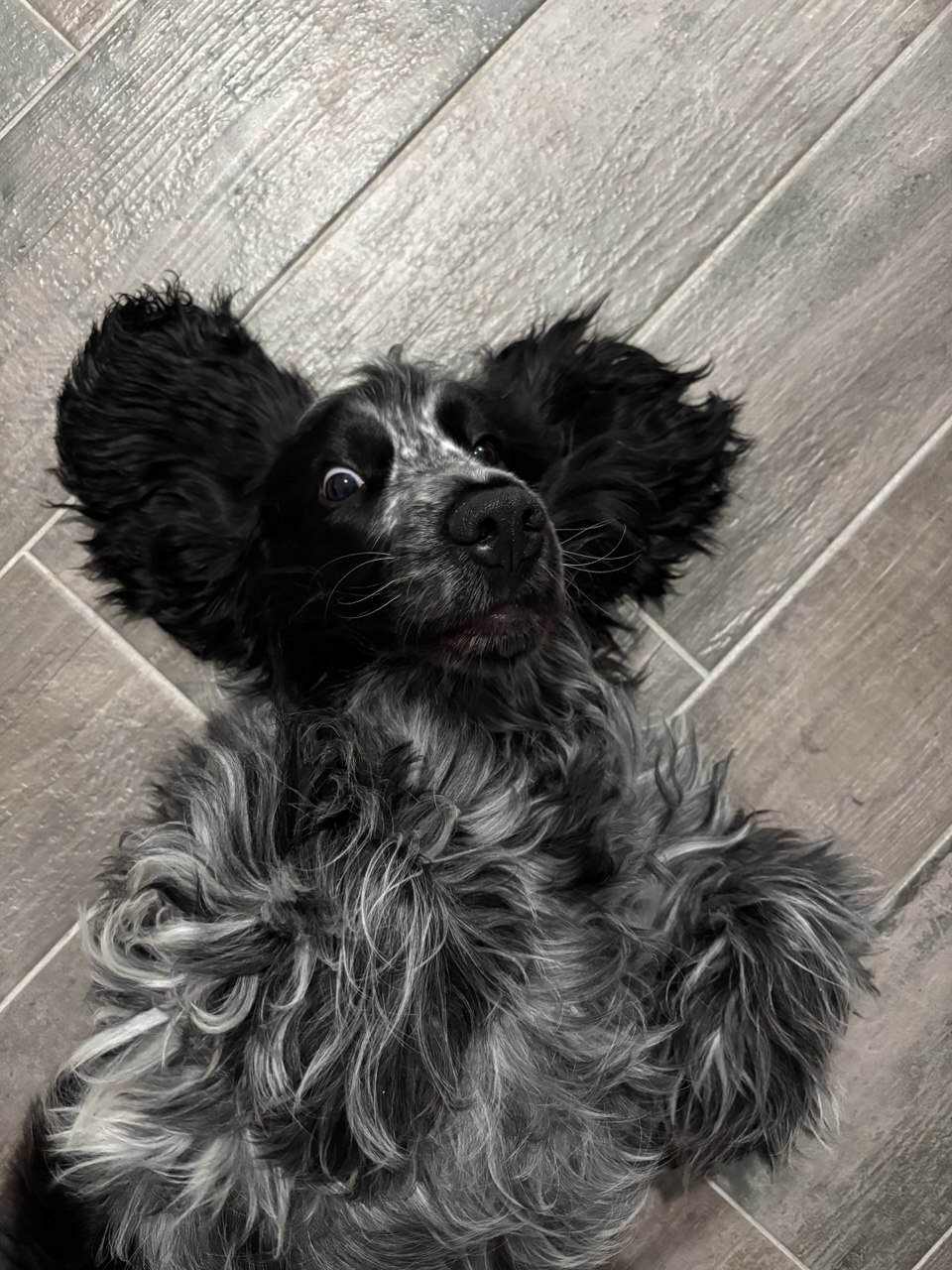 Winnie